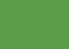 Green color palette